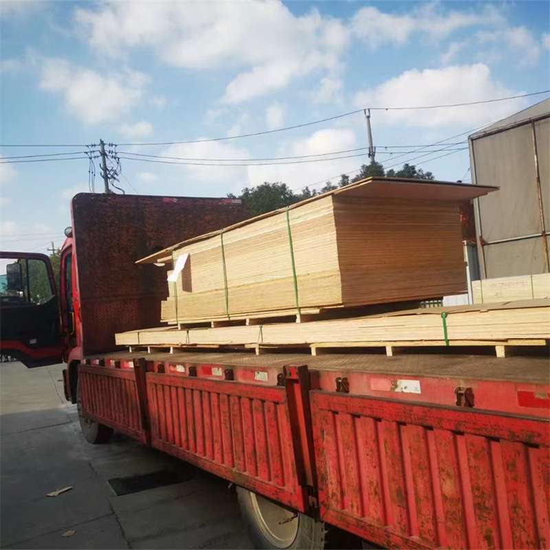 辽宁营口盖州至塔城货运专线，一站式物流服务助您成功